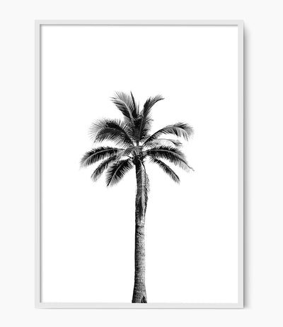 Palm Tree Print