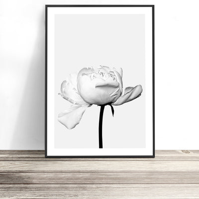 Peony Print (Black and White)