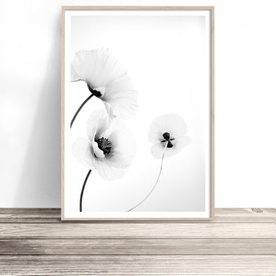 black and white poppy flower wall art print-photography poster made in melbourne australia