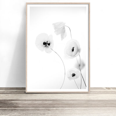black and white poppy flower wall art print photography poster made in melbourne australia