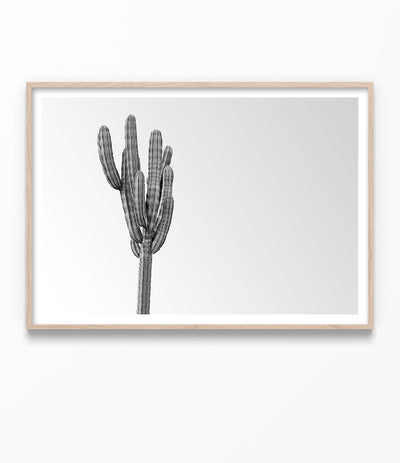 Minimalist Black and White Cactus Print