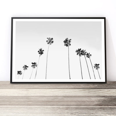 black and white palm trees wall art print australia