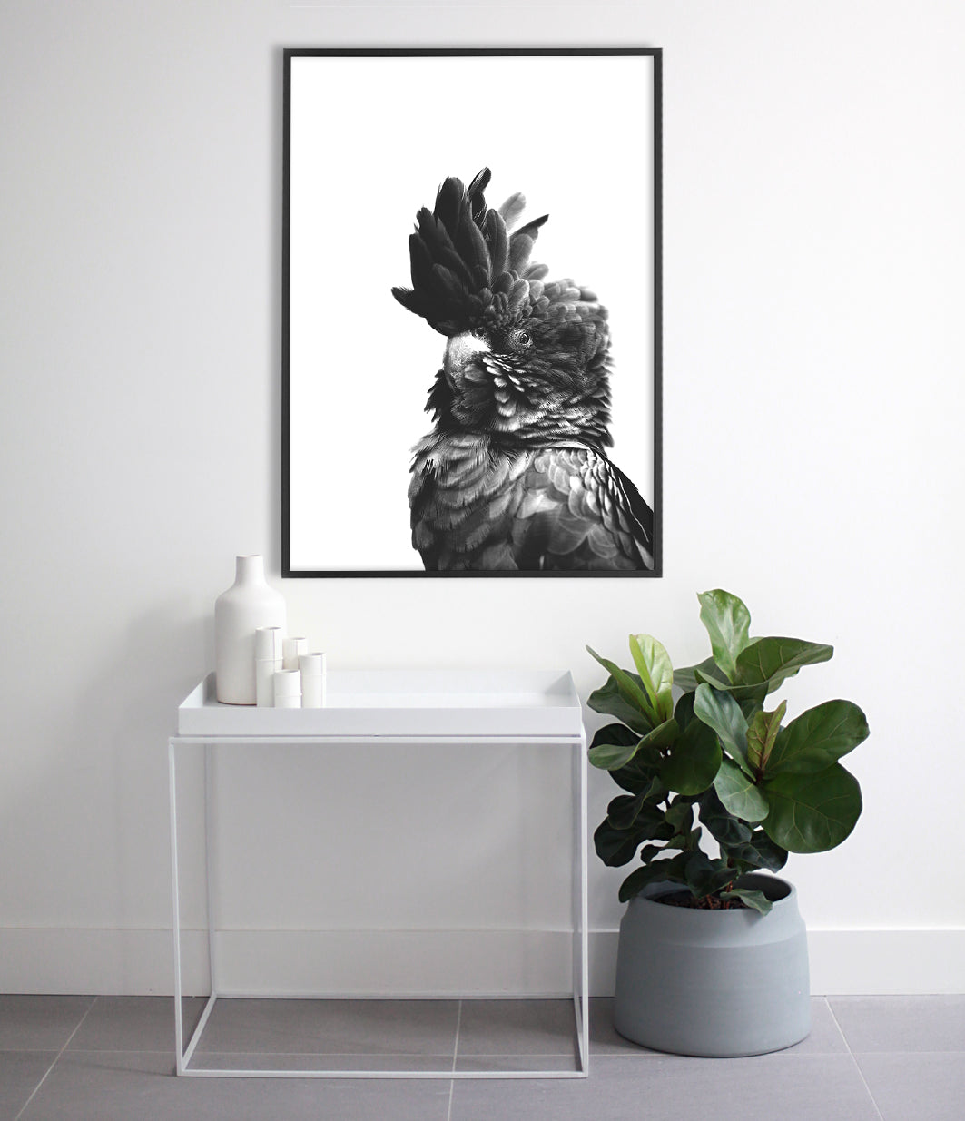 black cockatoo print australian bird art