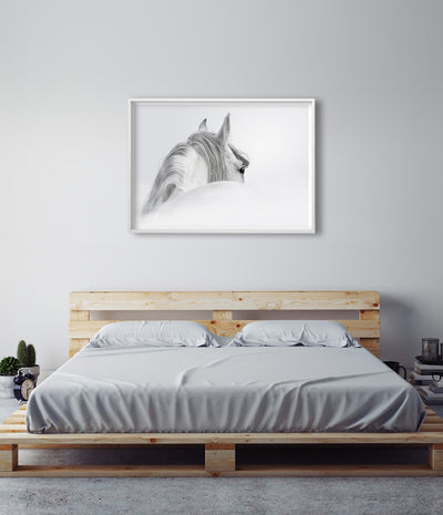 White Horse Photography Print