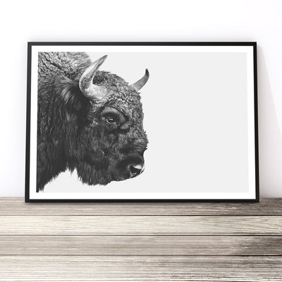 bison print buffalo wall art - shop photography poster artwork for home