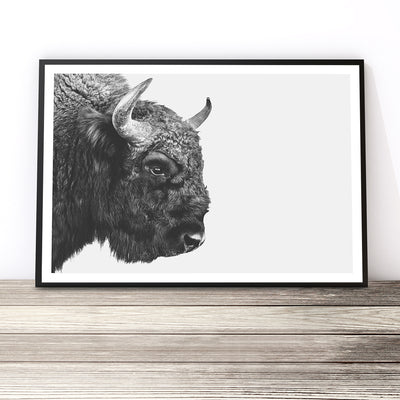 bison print buffalo wall art - shop photography poster artwork for home