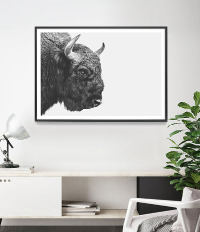 buy bison photo art print buffalo wall art - shop photography poster artwork for home