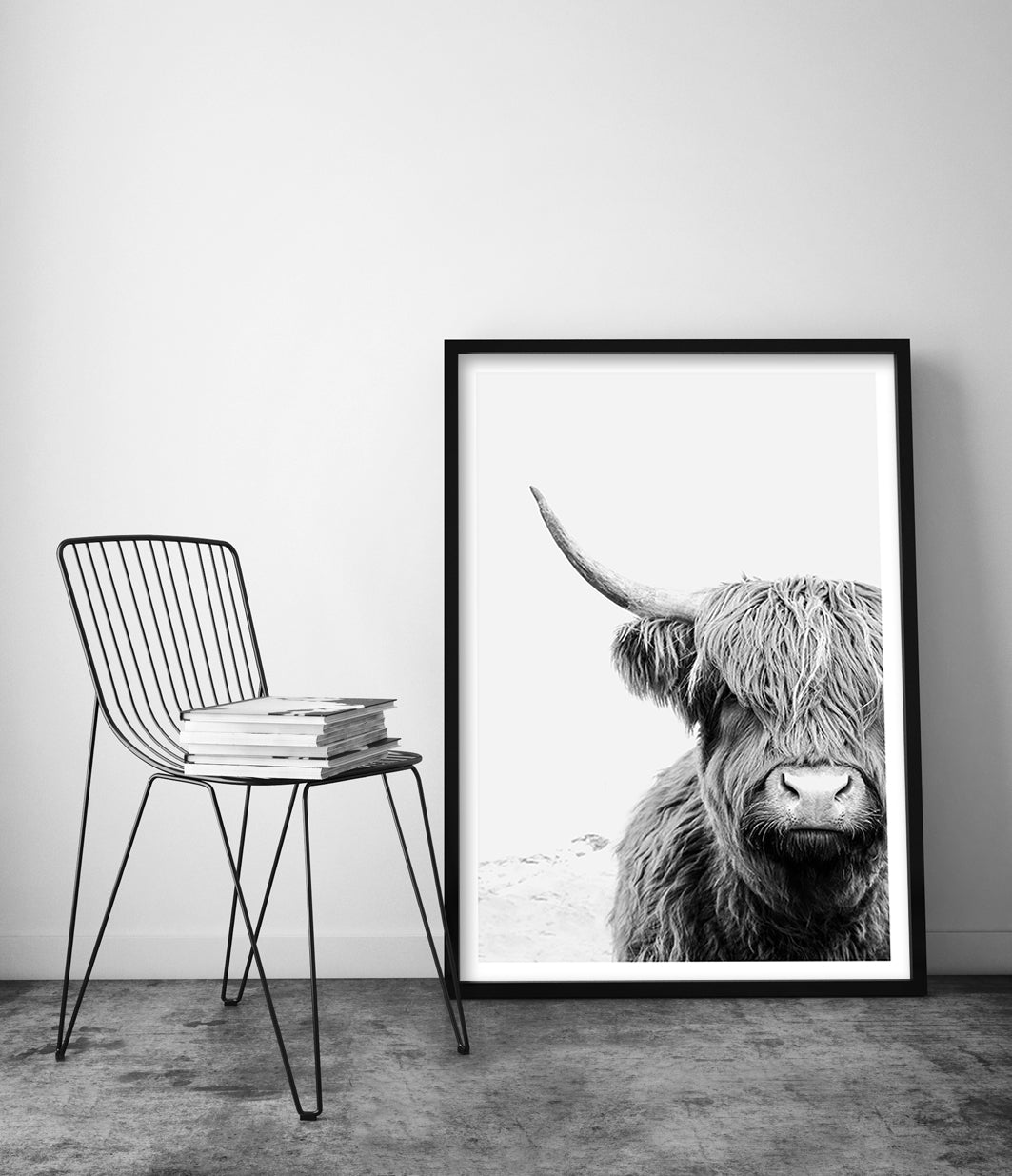 highland cow wall art print australia