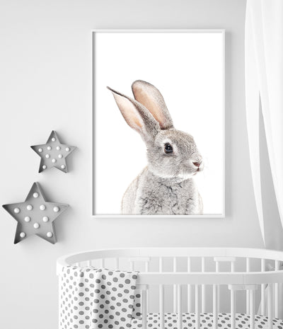 Bunny Print (Colour)