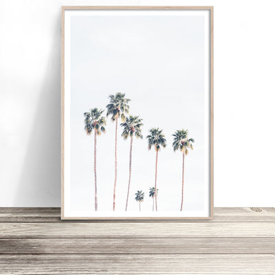 buy palm springs palm trees photo art print australia shop photography poster artwork for home
