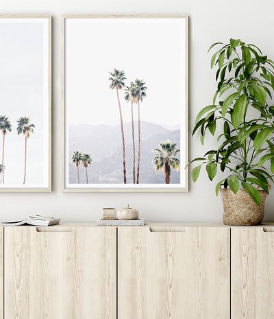 buy palm springs photographic prints australia palm tree art print shop photography poster artwork for home