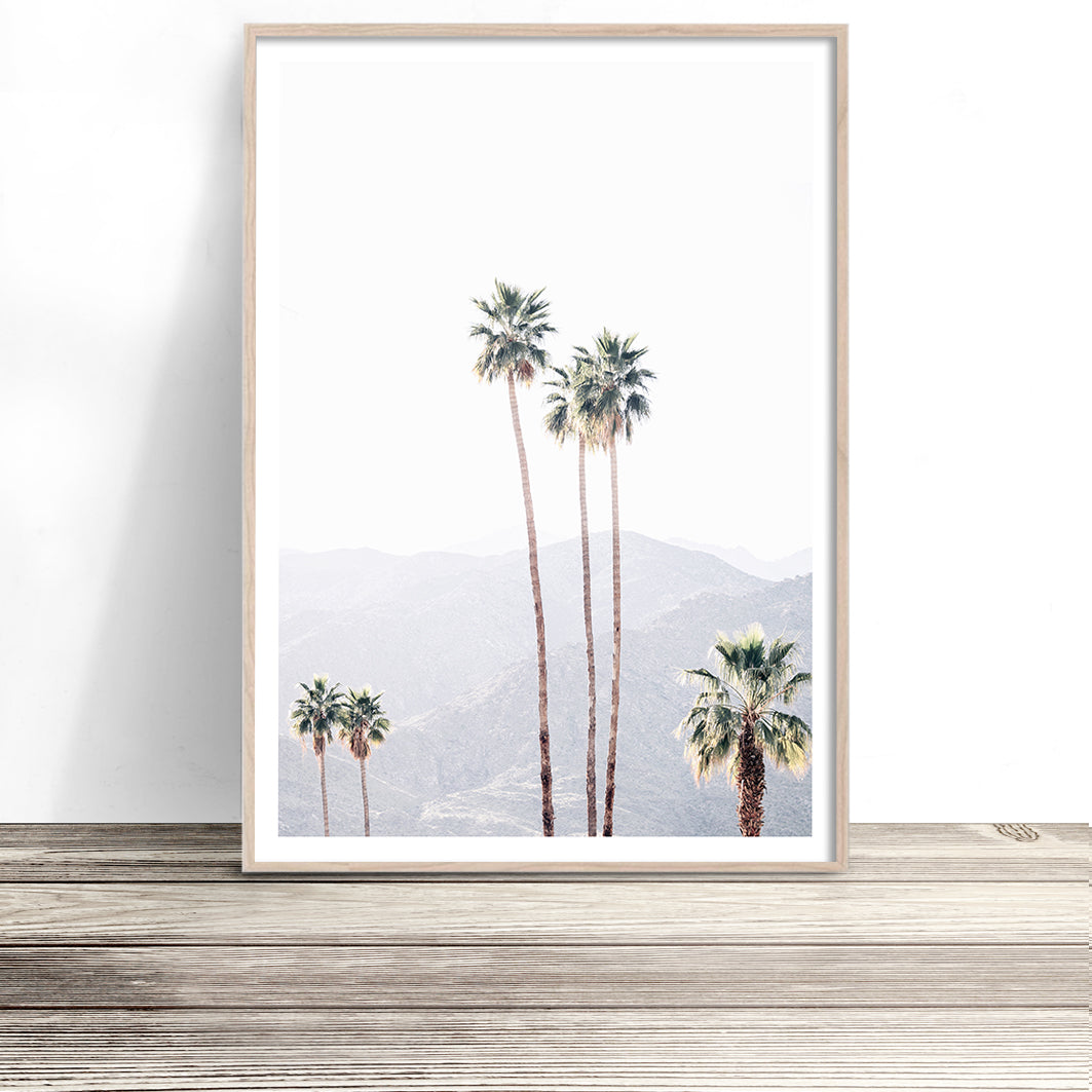 buy palm springs photography prints australia palm tree wall art shop photo poster artwork for home