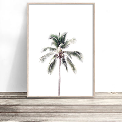 buy tropical palm tree photo art print coastal wall art shop photography poster artwork for home
