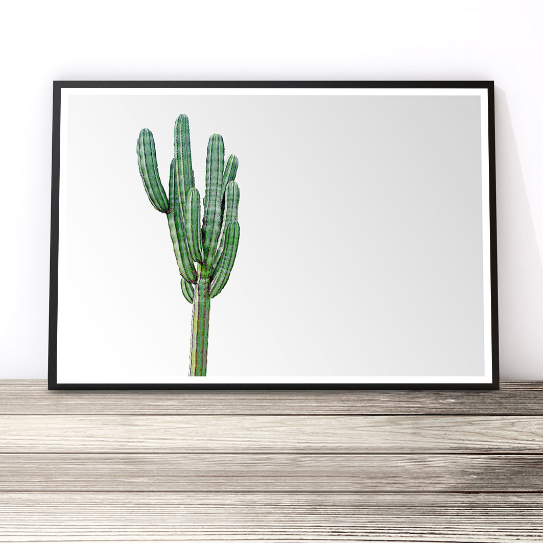Minimalist Cactus Print