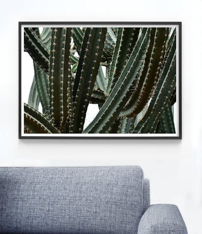 Cactus Print