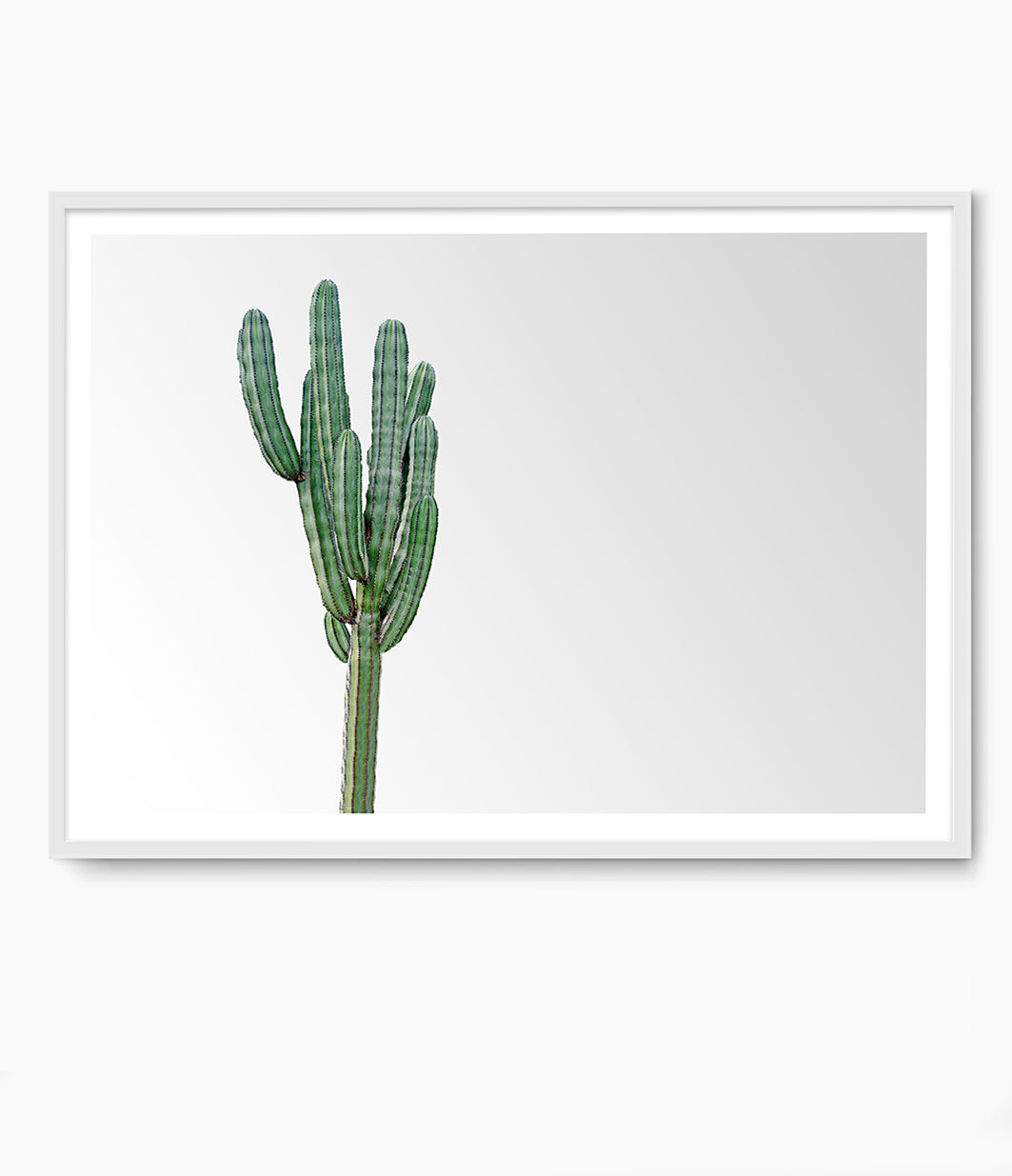 Minimalist Cactus Print