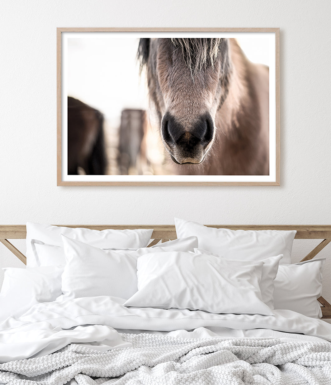 close up horse wall art print australia