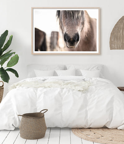 close up horse wall art print photography australia