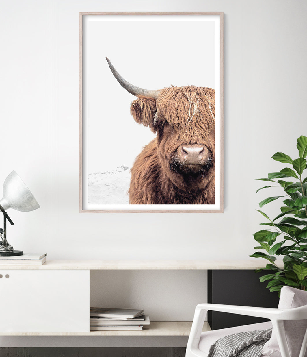scottish highland cow art print 