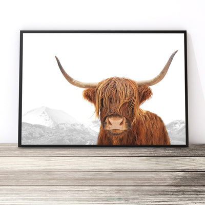 highland cow print photography wall art australia