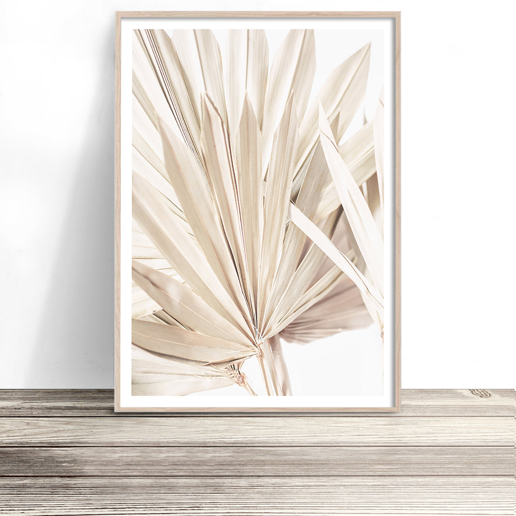 dried palm leaf print australia modern boho wall art and photography posters