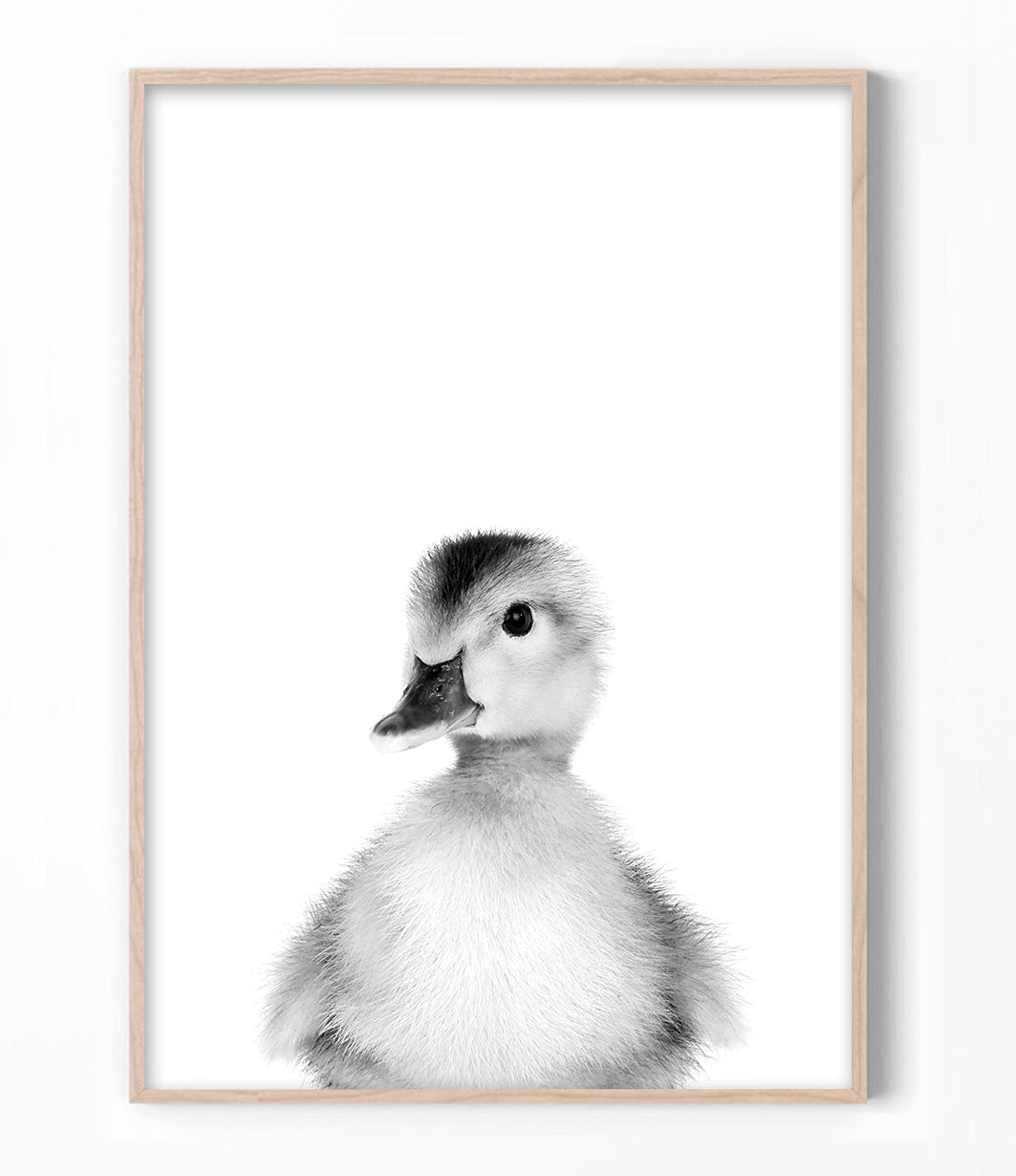Duckling Print (Black and White)