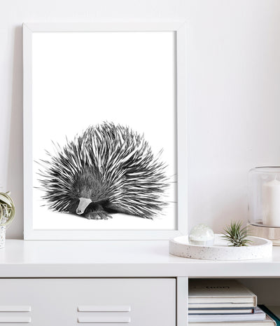 black-and-white-echidna-art-print-native-australian-animal-wall-art