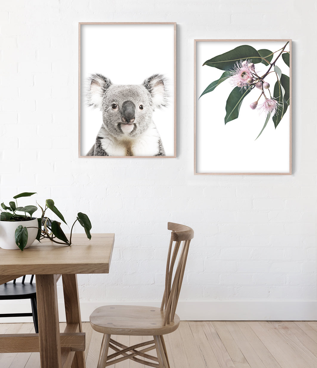 Eucalyptus Blossom Print