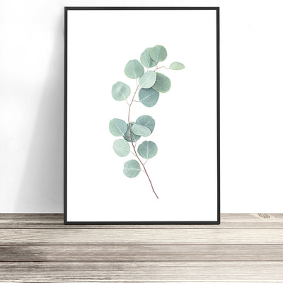 eucalyptus print australian native wall art gum leaf photography artwork