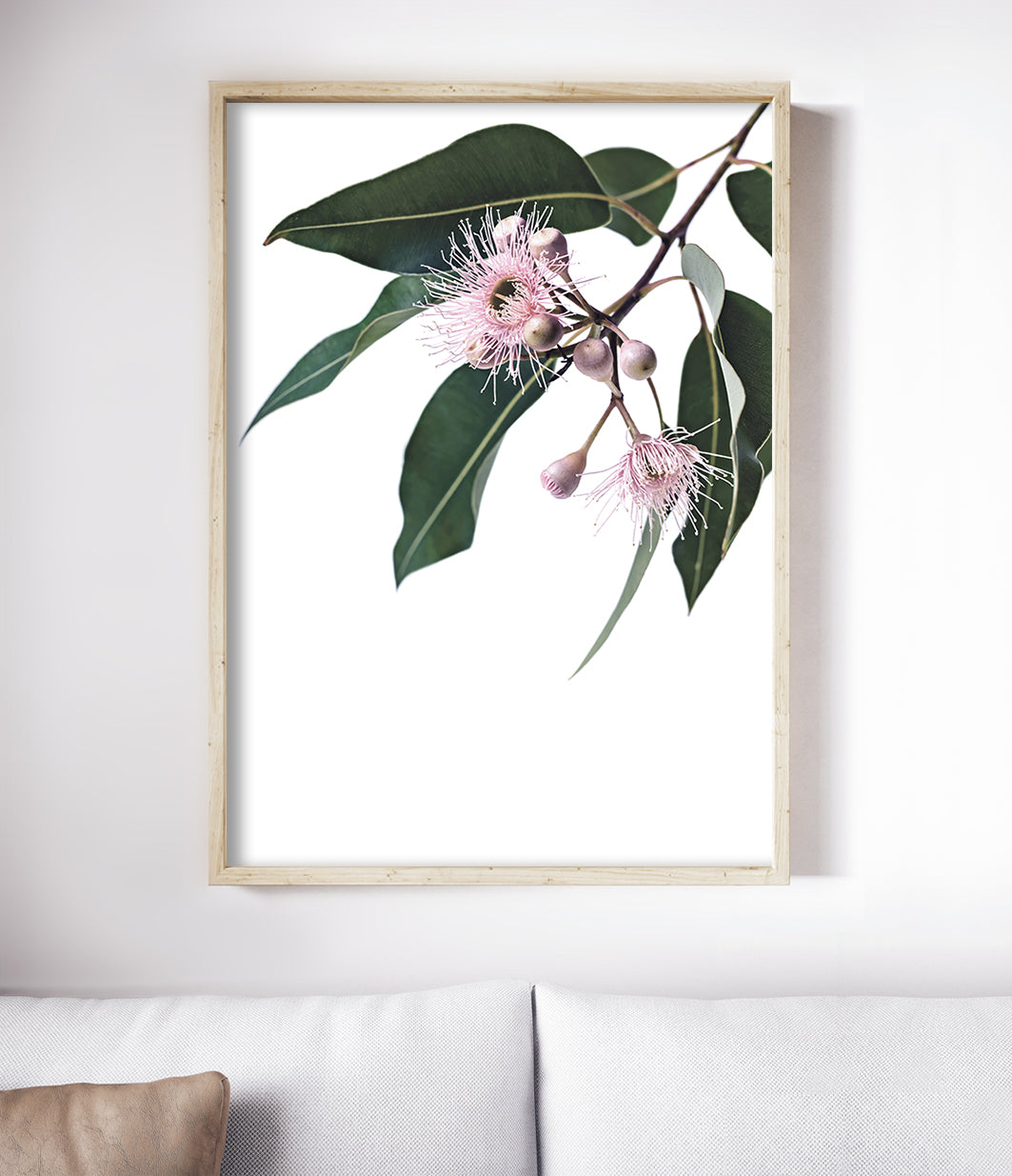 Eucalyptus Blossom Print