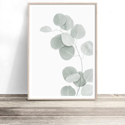 eucalyptus print native australian botanical wall art leaf photography artwork