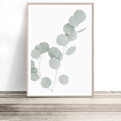 eucalyptus wall art botanical gum leaf artwork native australian art prints