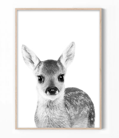 baby deer art print australia - modern scandinavian nursery wall art - shop photography poster artwork for childrens room