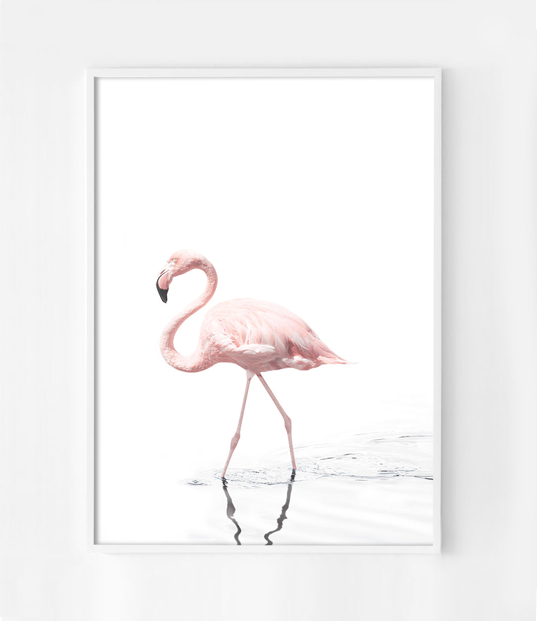Pink Flamingo Print
