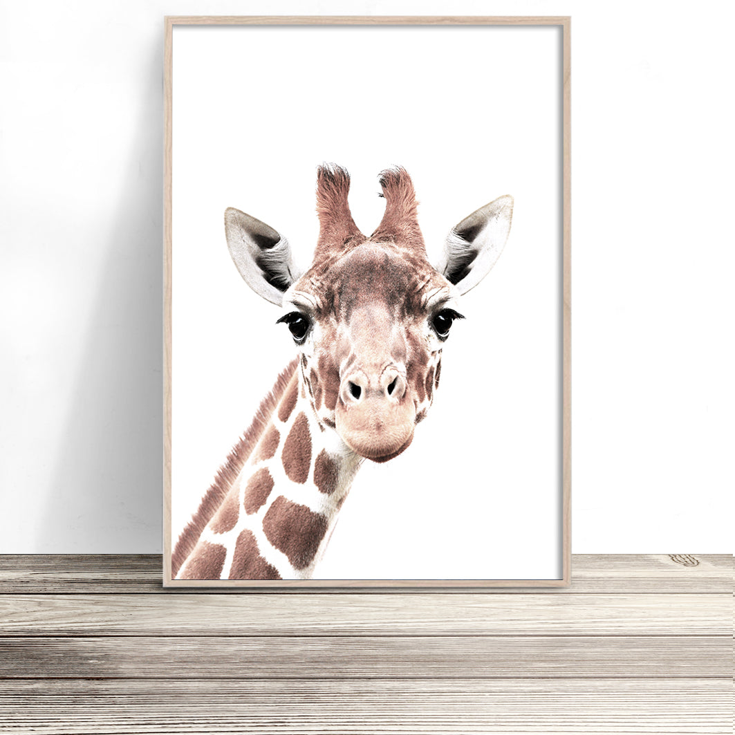 Curious Giraffe Print (Colour)