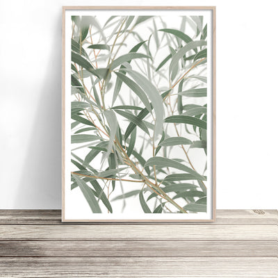 gum leaves art eucalyptus print native australian botanical photography artwork