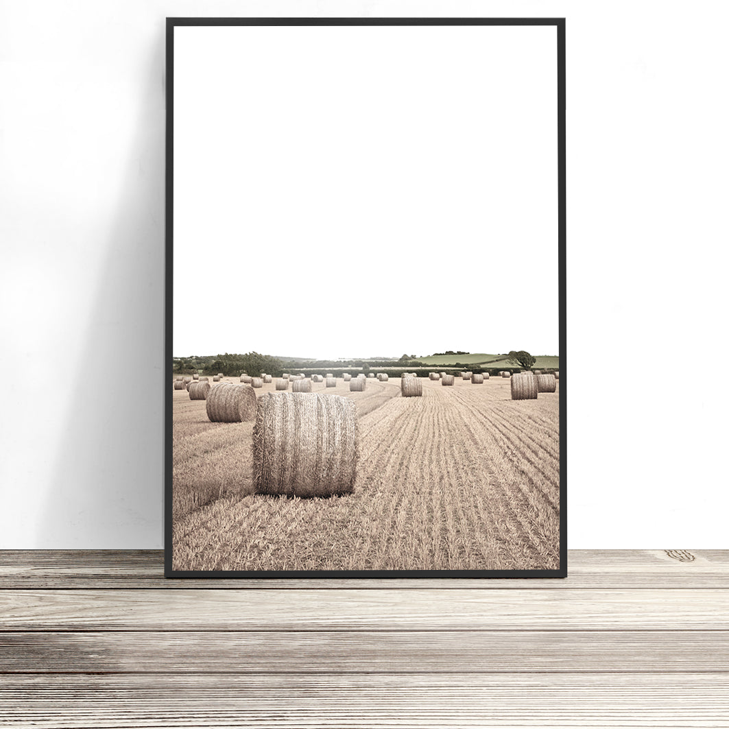 Hay Bales Print