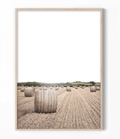 Hay Bales Print