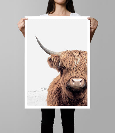 highland cow print