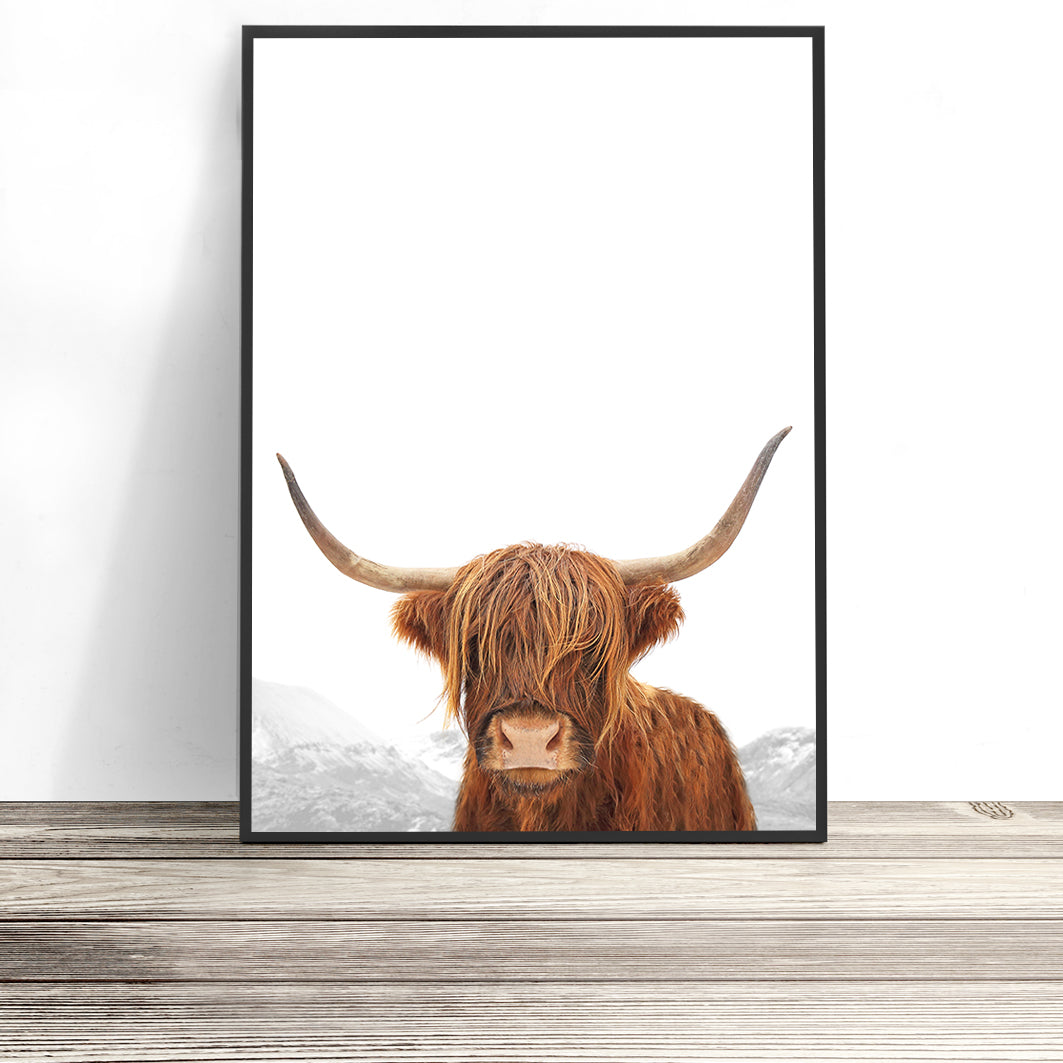 Highland Cow Print (Colour Portrait)