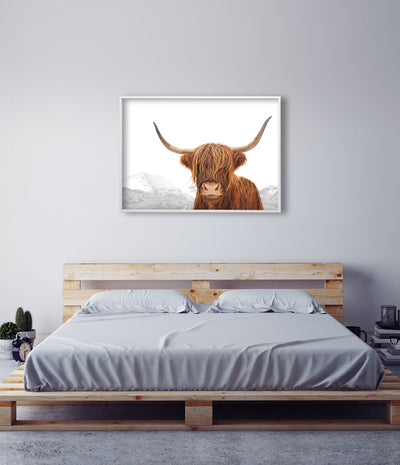 Highland Cow Art Print (Colour)