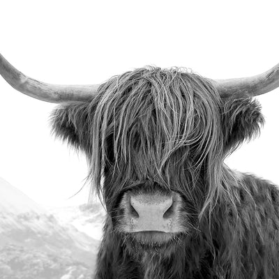 Highland Cow Print (Black and White)