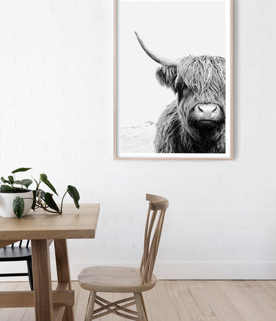 highland cow wall art print australia
