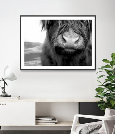 Shaggy Highland Cow Print (Black and White)