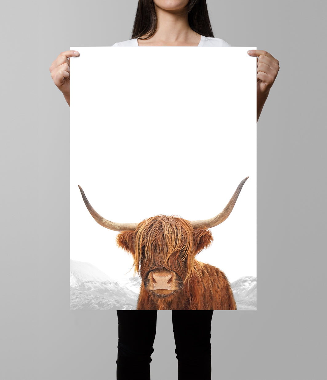 Highland Cow Print (Colour Portrait)