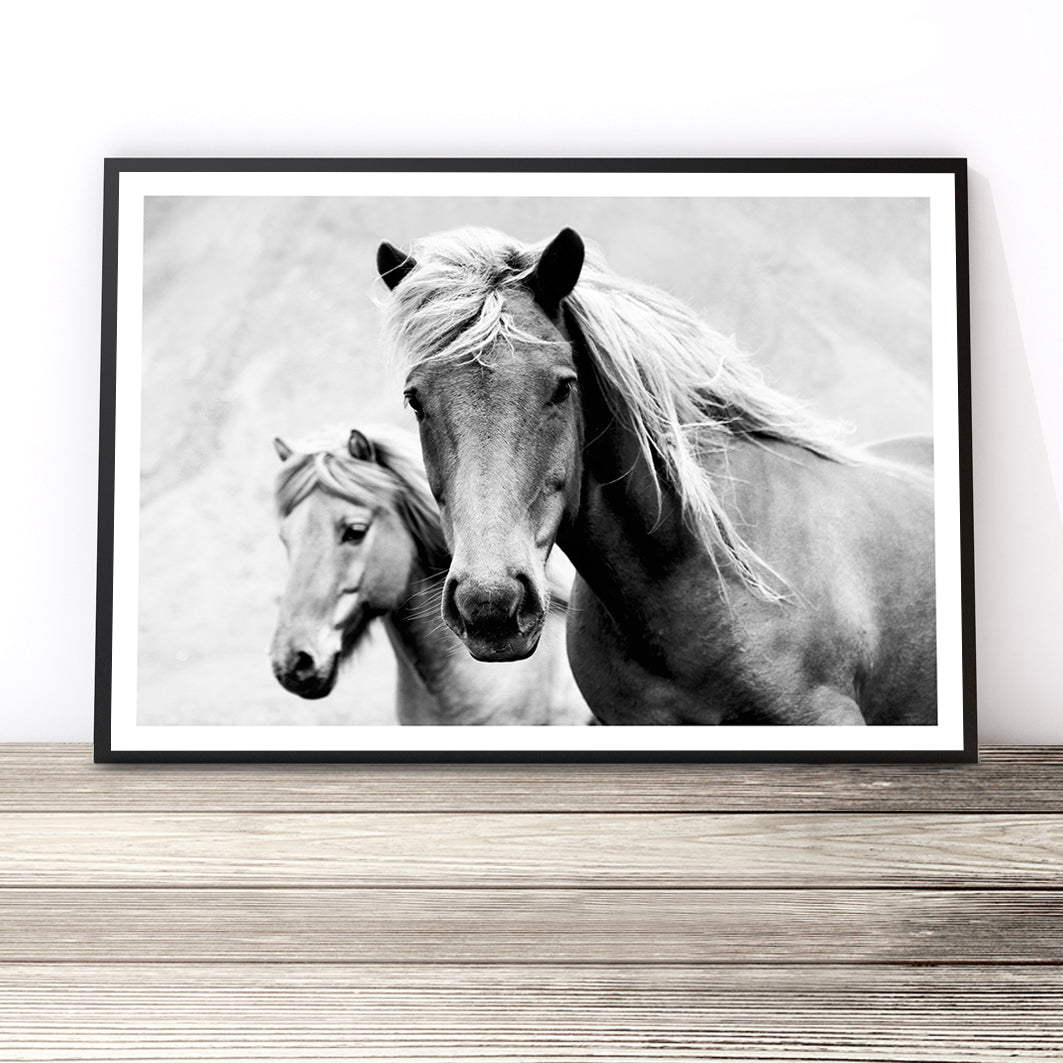 Wild Horses Print (Black and White)
