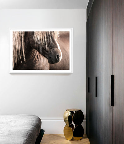 Icelandic Horse Print (Colour)