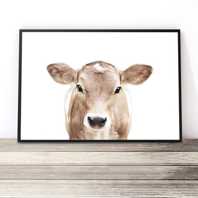 Jersey Cow Print (Colour)