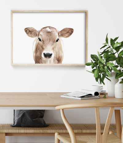 Jersey Cow Print (Colour)