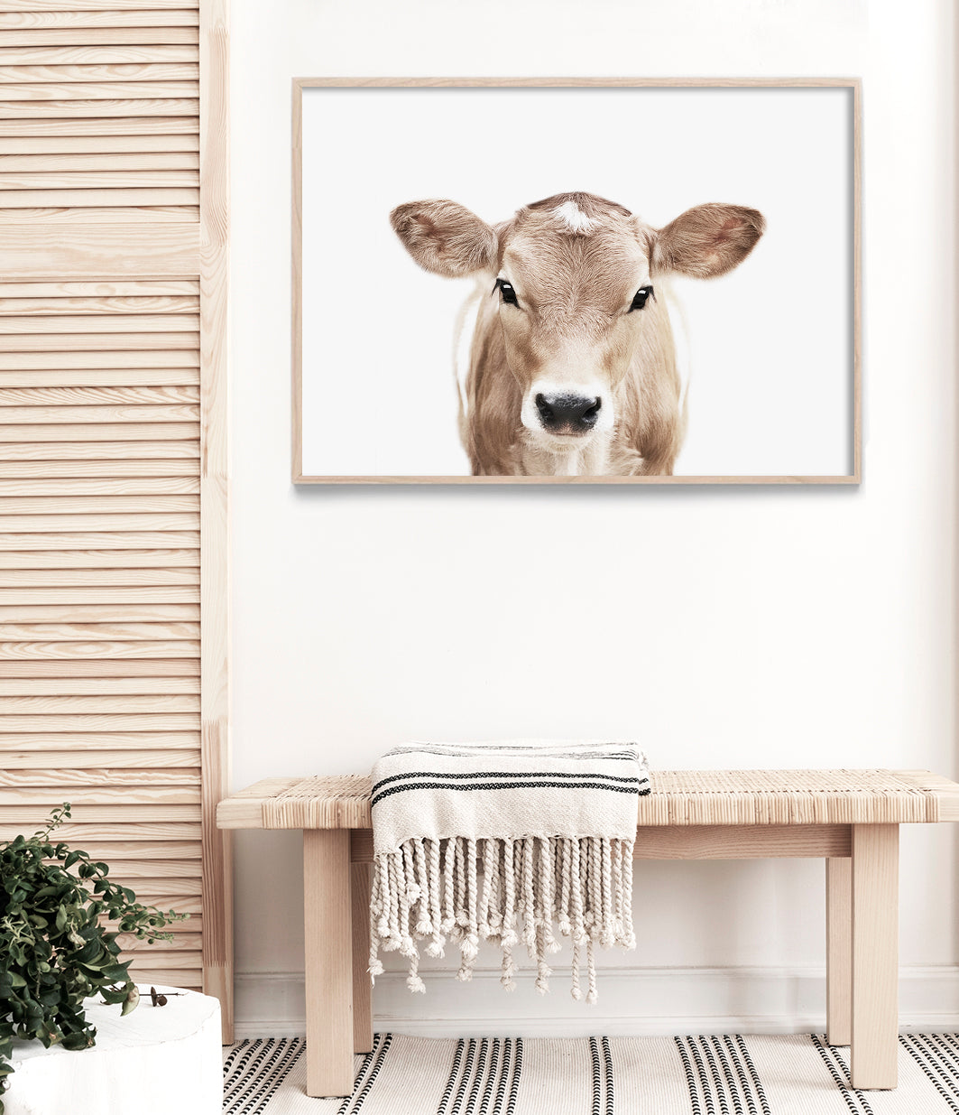 Jersey Cow Print (Colour)